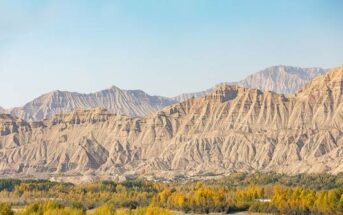 "Yanksee" source codes (Foto: shutterstock - HelloRF Zcool)