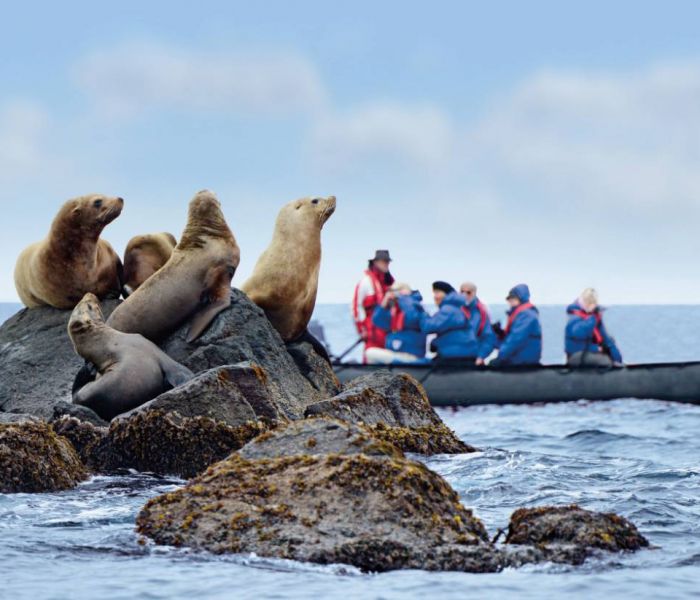 Täglich werden die Zodiacs genutzt, um die Tierwelt in der Antarktis zu erforschen. (Foto: Hapag-Lloyd Cruises)